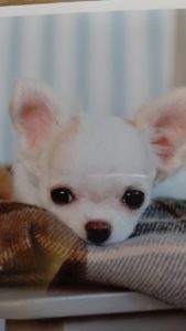 年末年始休業のお知らせ