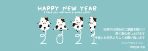 新年のご挨拶申し上げます