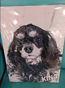 新商品のお知らせ