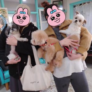 ありがとうございます！