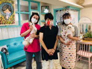 ☆トリマーさん募集☆