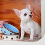 2020年10月のお客様紹介