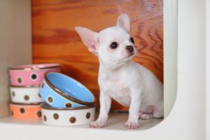 2020年10月のお客様紹介